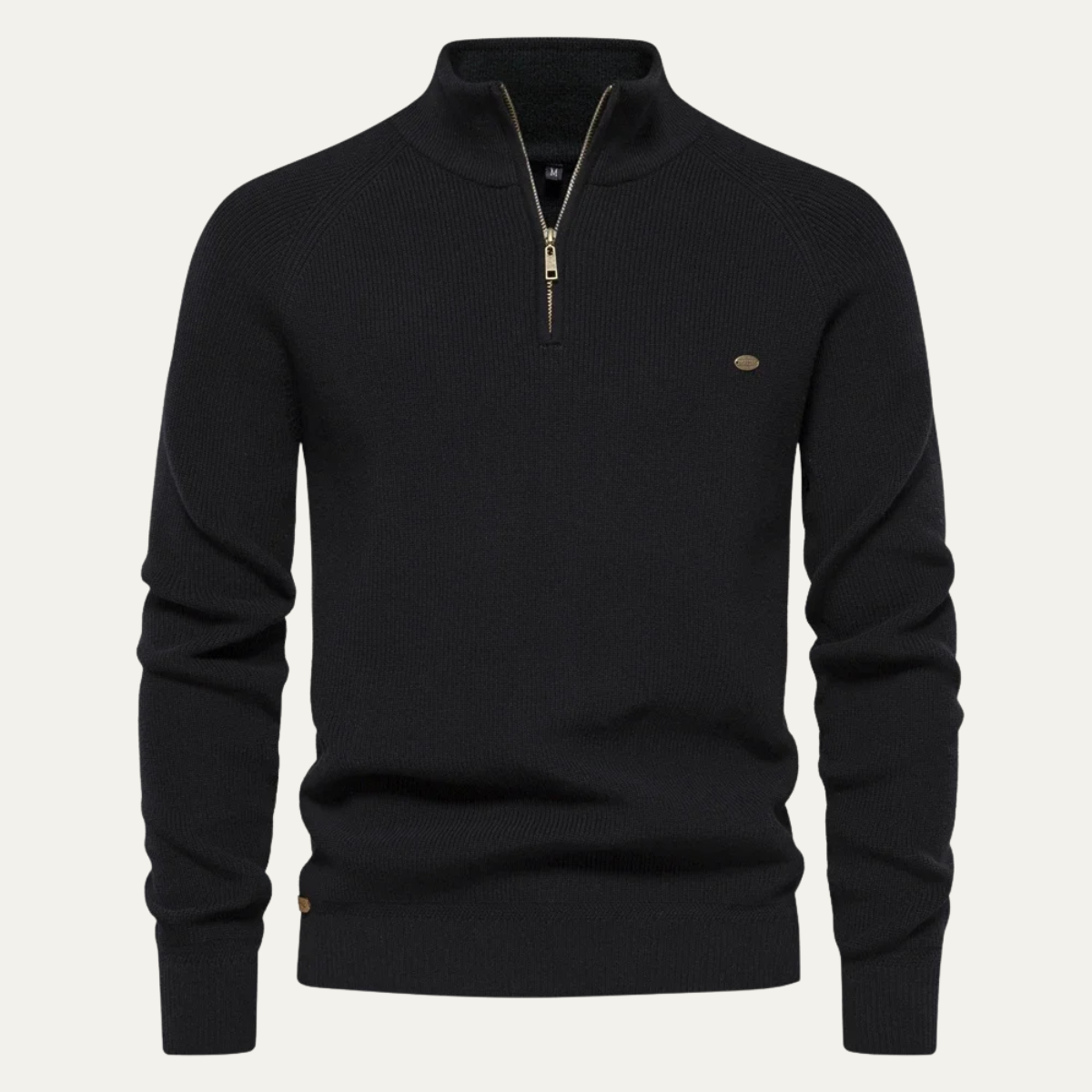 The Bergamo Alta Men’s Casual Knit Mock Neck Sweater with Button Collar
