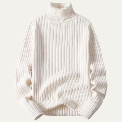 The Manchester Men's Wool Ribbed Turtleneck Knit Sweater
