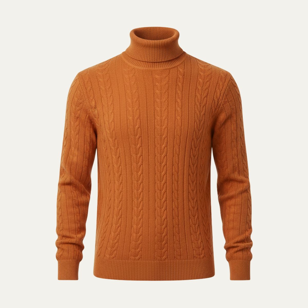 The Paestum Men’s Warm Ribbed Cable Knit Turtleneck Sweater
